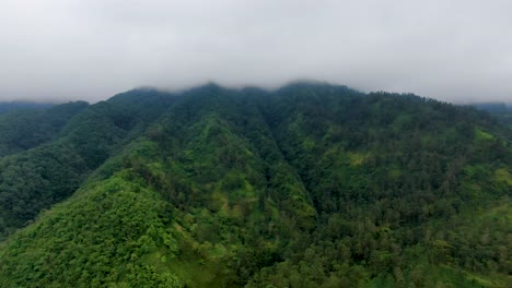 Lush-vegetation-on-Merapi-mount-shrouded-in-clouds,-Yogyakarta-in-Indonesia