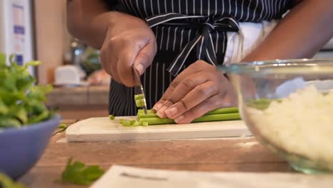 Chopping-fresh-organic-celery-for-a-homemade-recipe---side-view-in-slow-motion