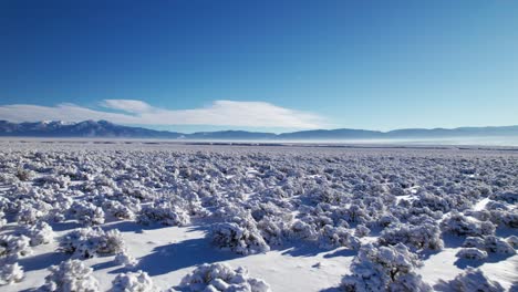 Niedrige-Drohnenüberführung-In-Der-Wüste-Von-New-Mexico-Im-Winter