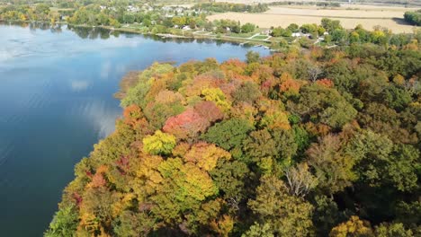 aerial-view-of-colorful-trees-in-a-small-forest-next-to-a-lake-in-Minnesota-during-the-fall-season