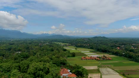 Reisfelder-Und-Wald-In-Muntilan,-Zentral-Java,-Indonesien