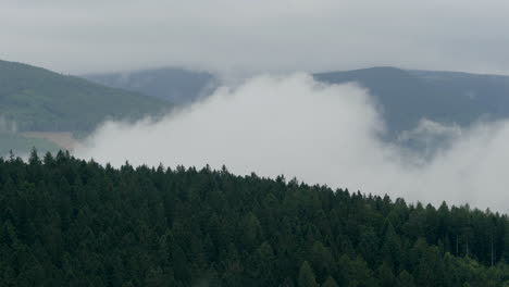 Timelapse-of-the-thick-vapor-created-by-the-mountain-forest-in-the-natural-process-of-water-circulation