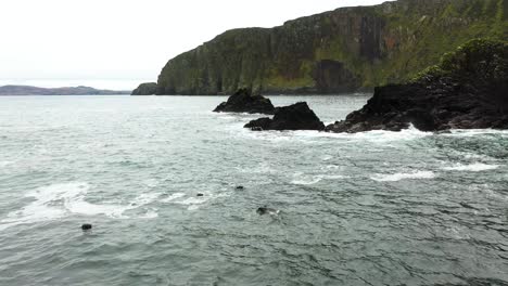 Irish-Seals-Swimming-in-Wild-Atlantic-Ocean-by-Sea-Cliffs-of-Ireland---Aerial