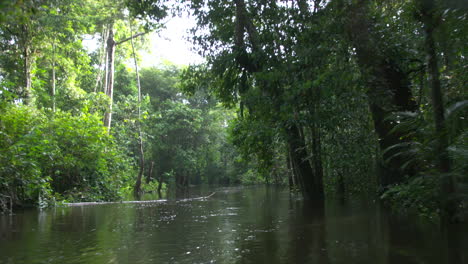 First-person-view-from-boat-travelling-through-narrow-stretch-of-Amazon-river-surrounded-by-jungle-in-the-day-time