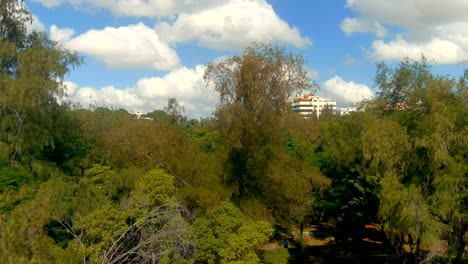Aerial-view-of-the-Parque-Mirador-Sur-flying-between-the-trees,-sunny-day