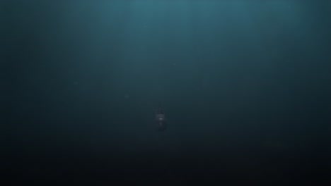 Underwater-Shot-of-a-Submarine-Being-Chased-by-a-Massive-Leviathan-of-a-Fish