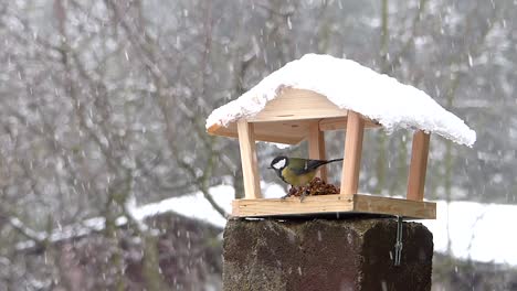 Entzückende-Kohlmeise-Frisst-Von-Einem-Vogelhäuschen-In-Der-Winterlandschaft