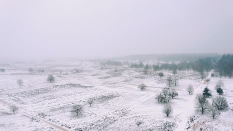 Aerial-Over-Snow-Covered-winter-Landscape-Fields-At-Veluwe-National-Park