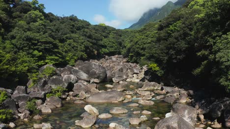 Natural-Splendor-of-Yakushima-Japan,-River-and-Forest-on-Sunny-Day
