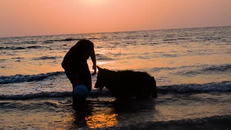 Deutscher-Schäferhund-Und-Besitzer-Spielen-Am-Strand-In-Mumbai-Silhouette-Hintergrund-Mit-Einem-Wunderschönen-Sonnenuntergang-Im-Hintergrund
