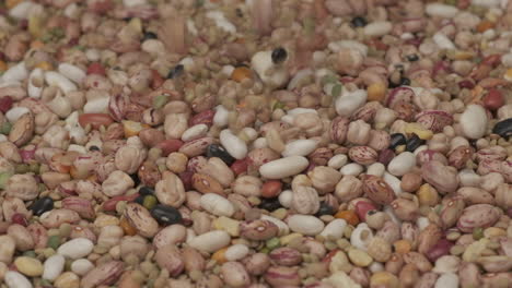 Dry-legumes-dry-beans-falling