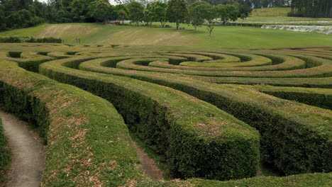 Green-Bushes-Circular-Labyrinth,-Hedge-Maze---wide-shot