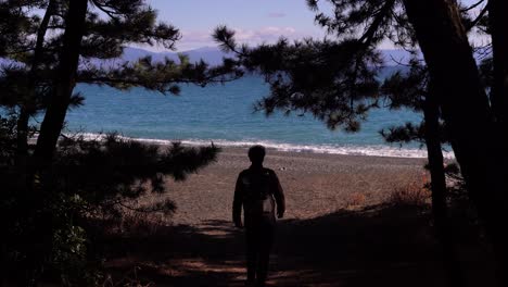 Silhouette-of-male-walking-towards-opening-on-beach-during-daytime