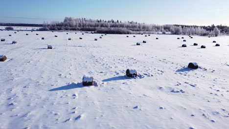 Hay-roll-filed-covered-with-snow-aerial-view-low-sunlight-long-shadows