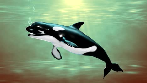 Conceitual-work-of-digital-sculpture-of-uma-baleia-orca
