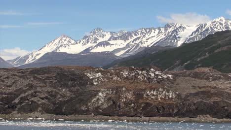 Glacier-covered-by-volcanic-ash-in-Alaska