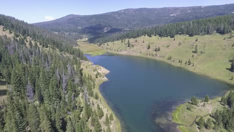 AERIAL---drone-flies-above-green-trees-displaying-a-large-lake