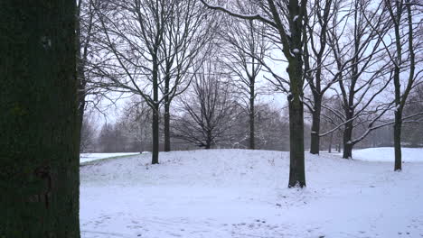 Verschneiter-Park-Mit-Ein-Paar-Bäumen