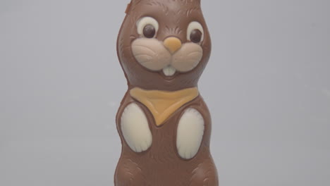 tilt-up-of-chocolate-Easter-bunny-against-a-white-background