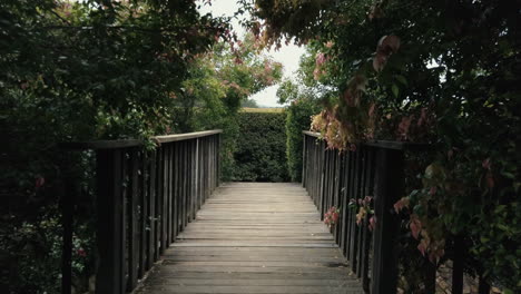 Walking-Towards-Wooden-Bridge-In-A-Maze-Garden