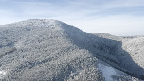 Aerial-Shot-Of-Trees-Covered-In-Snow-On-A-Mountain,-Winter-Destination-Landscape