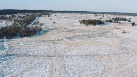 Aerial-drone-view-of-snowy-veluwe-national-park-Netherlands,-backwards