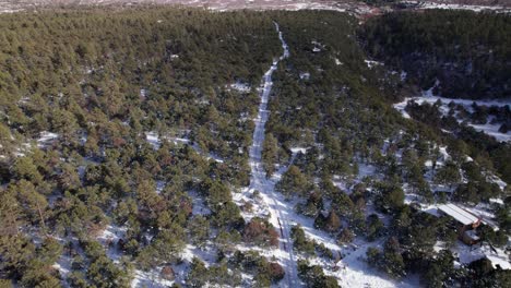 Drone-aerial-shot-revealing-a-mountain-in-the-background-of-a-forest-road
