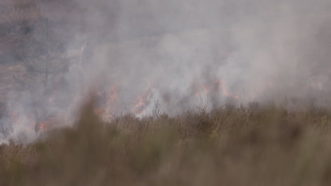 Shot-of-a-controlled-field-fire-with-a-man-walking-behind-the-smoke