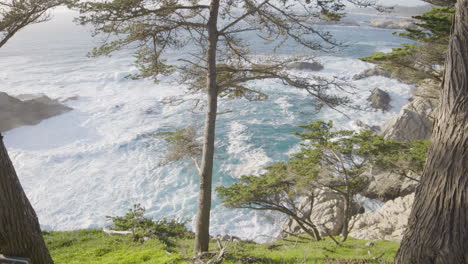 Stationary-shot-of-a-tree-on-the-hill-side-of-Big-sur-California-with-waves-in-the-pacific-ocean-crashing-in-the-background