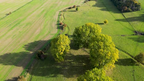 Drone-shot-over-lush-green-trees-an-fields-showing-a-dried-up-river-bed