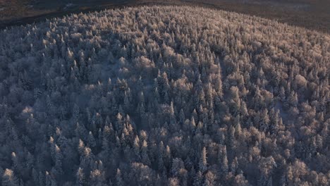 White-Forest-Mountains-During-Winter-At-Sunset-In-Southern-Quebec,-Canada