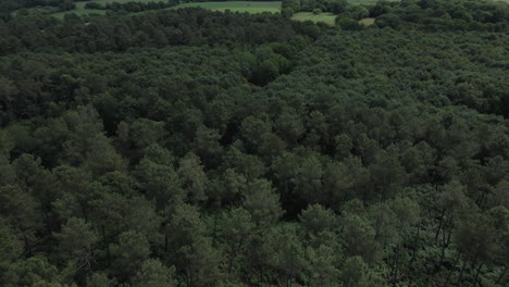 Broceliande-forest-in-Brittany,-France.-Aerial-forward