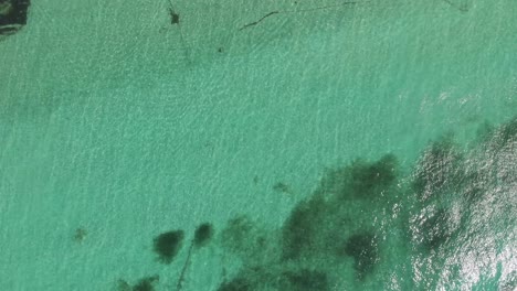 People-swimming-in-green-ocean-water-in-Caribbean-sea-near-Cozumel,-Mexico