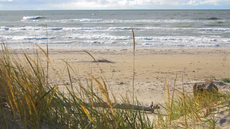 Idyllic-view-of-empty-Baltic-sea-coastline,-dead-grass-in-foreground,-steep-seashore-dunes-damaged-by-waves,-white-sand-beach,-coastal-erosion,-climate-changes,-medium-shot
