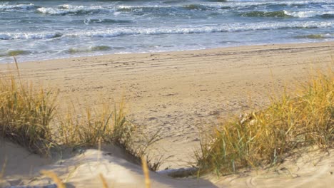 Idyllic-view-of-empty-Baltic-sea-coastline,-dead-grass-in-foreground,-seashore-dunes-damaged-by-waves,-white-sand-beach,-coastal-erosion,-climate-changes,-medium-shot