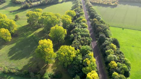 Railway-track-between-two-line-of-autumn-coloured-trees-in-Kent-countryside