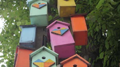 Colorful-bird-nest-box-on-pole,-slow-motion