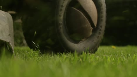 The-wheels-of-the-lawn-mower-cutting-grass