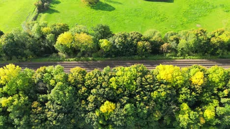 Dolly-left-drone-shot-of-colourful-trees-and-a-railway-track-in-countryside