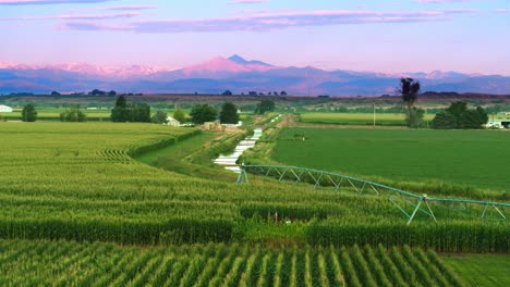 Aerial-Drone-Flying-over-Corn-Field-Crops-towards-Majestic-Purple-Colorado-Rocky-Mountains-at-Sunrise