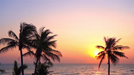A-pink-and-purple-ocean-sunset-with-palm-trees-in-the-foreground