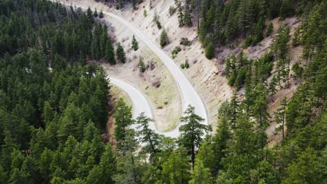 Aerial-view-of-curved-road-through-forest-in-British-Columbia,-Canada