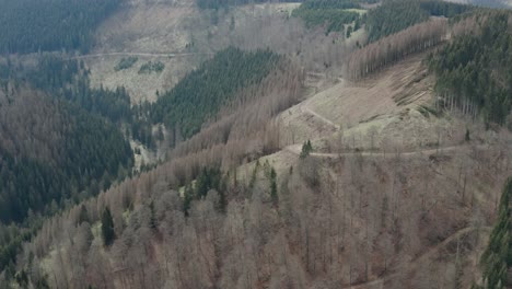 Vistas-Aéreas-De-Drones-Del-Parque-Nacional-De-Harz-En-Alemania-Central