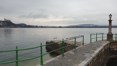 Peaceful-seagulls-on-green-pier-handrail-on-Maggiore-lake-with-Angera-fortress-in-background