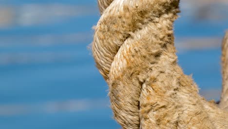 Close-up-of-nautical-rope-with-blue-water-ripple-in-background