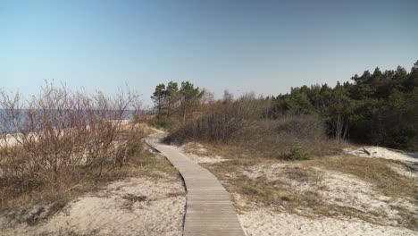 Wooden-Path-near-Melnrage-Beach-Leading-into-the-Pine-Forest-in-Klaipeda