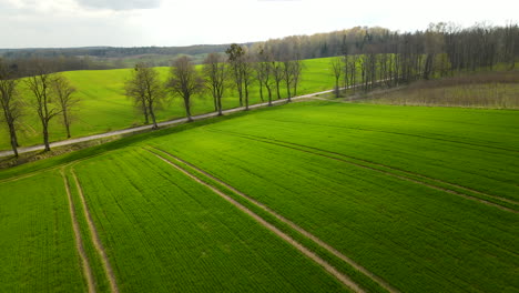 Aerial-flyover-green-countryside-fields-near-avenue-and-hills-in-background