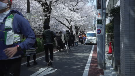 Mann-In-Maske,-Der-Während-Einer-Pandemie-Auf-Dem-Bürgersteig-Unter-Sakura-Bäumen-In-Voller-Blüte-Joggt