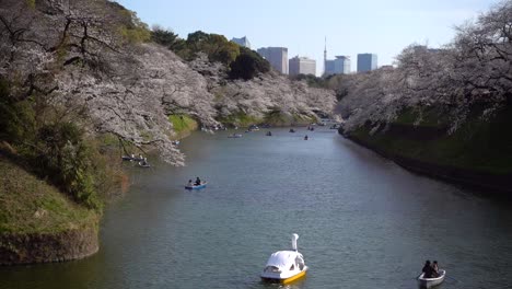 Wide-open-view-of-beautiful-moat-in-central-Tokyo-with-boats-and-Tokyo-Tower