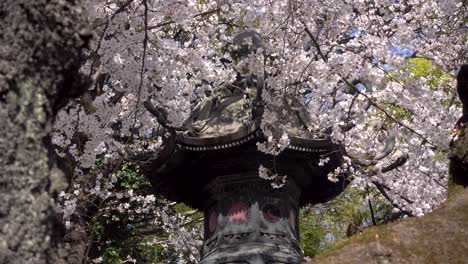Nahaufnahme-Einer-Atemberaubenden-Aufnahme-Einer-Japanischen-Steinsäule,-Die-Mit-Rosafarbenen-Sakura-Blumen-Bedeckt-Ist